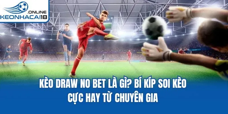 Kèo Draw No Bet Là Gì? Bí Kíp Soi Kèo Cực Hay Từ Chuyên Gia