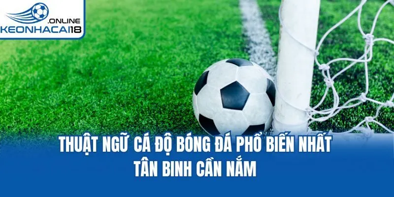 Thuật Ngữ Cá Độ Bóng Đá Phổ Biến Nhất Tân Binh Cần Nắm
